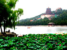 Summer Palace