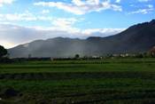 http://t11.baidu.com/it/u=847635706,1010732915&fm=59